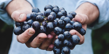 Firstfruits from the Tree of Life – Kenya Meeting – 2019.05.04
